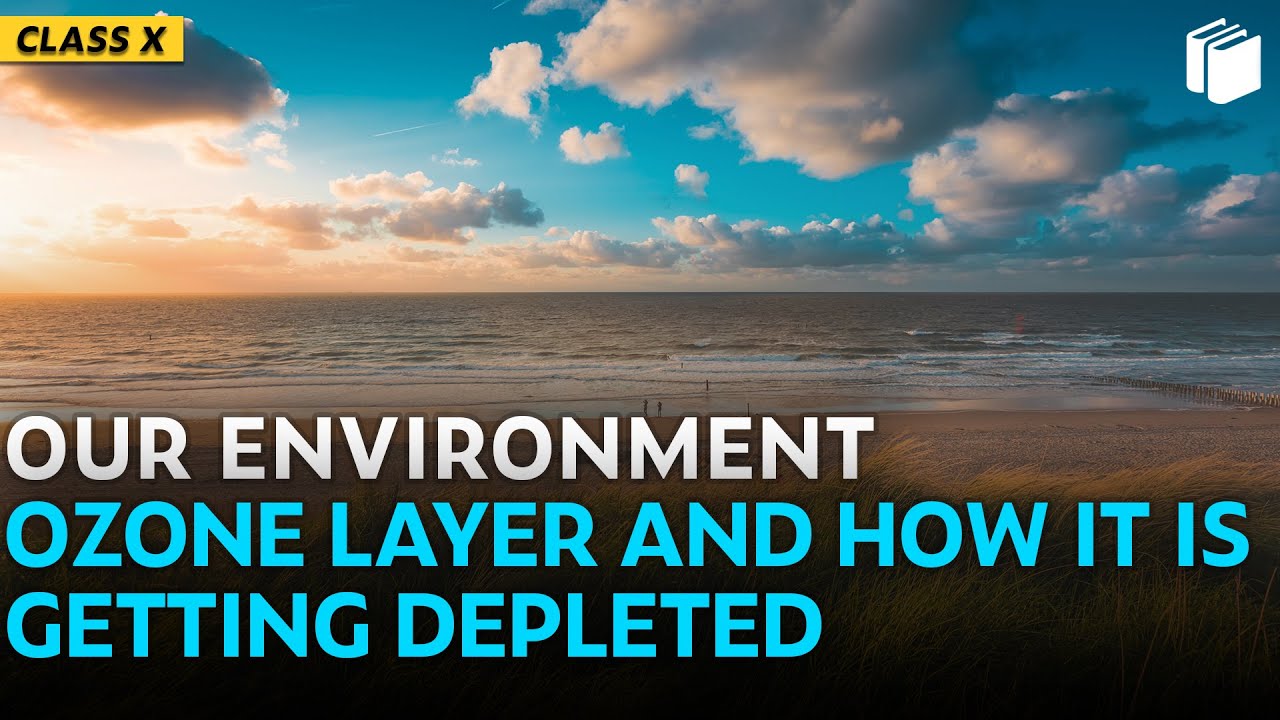 Ozone Layer and How it is Getting Depleted | Chapter 15 | Class 10 | PuStack