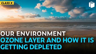 Ozone Layer and How it is Getting Depleted | Chapter 15 | Class 10 | PuStack