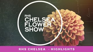 RHS Chelsea Flower Show 2021 - Highlights