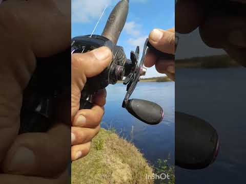 Pesca de bogas en rio Santa Lucia. Corrientes Argentina 