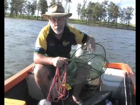 Nugget's Redclaw tips