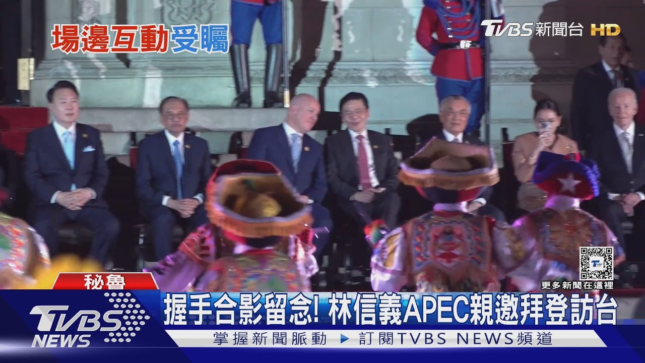 握手合影留念! 林信義APEC親邀拜訪台、與習無互動