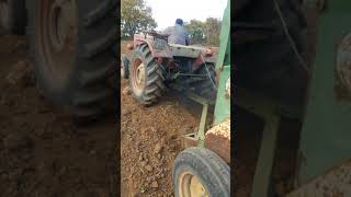 Üniversal 445 traktör rampa da buğday ekimi