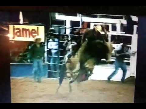 lendas do rodeio purguinha 🐂👊