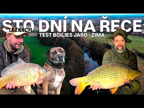 TEST BOILIES - STO DNÍ NA ŘECE - SPORTCARP CHILLI FRUIT - KUBÁKOVY KOULE