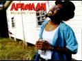Afroman - because i got high 