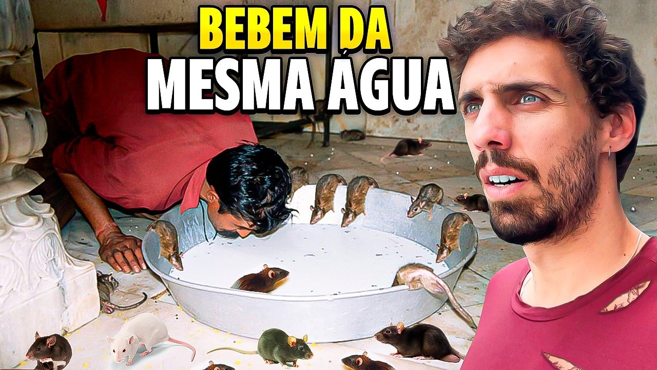 I went to the TEMPLE where 30.000 RATS are considered family members