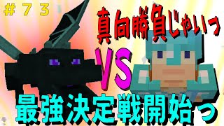 【マイクラ】サバイバル生活＃73　エンダードラゴンと小細工なしの真っ向勝負っ！勝つのはどっちだ！