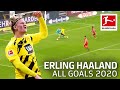Erling Haaland - All Goals 2020