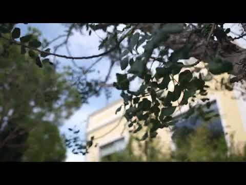 Isto é a Quinta do Mocho - Onde tudo começa ...