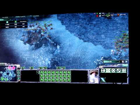 Avilo vs TickleMeElmo, DC LAN Nov. 8th