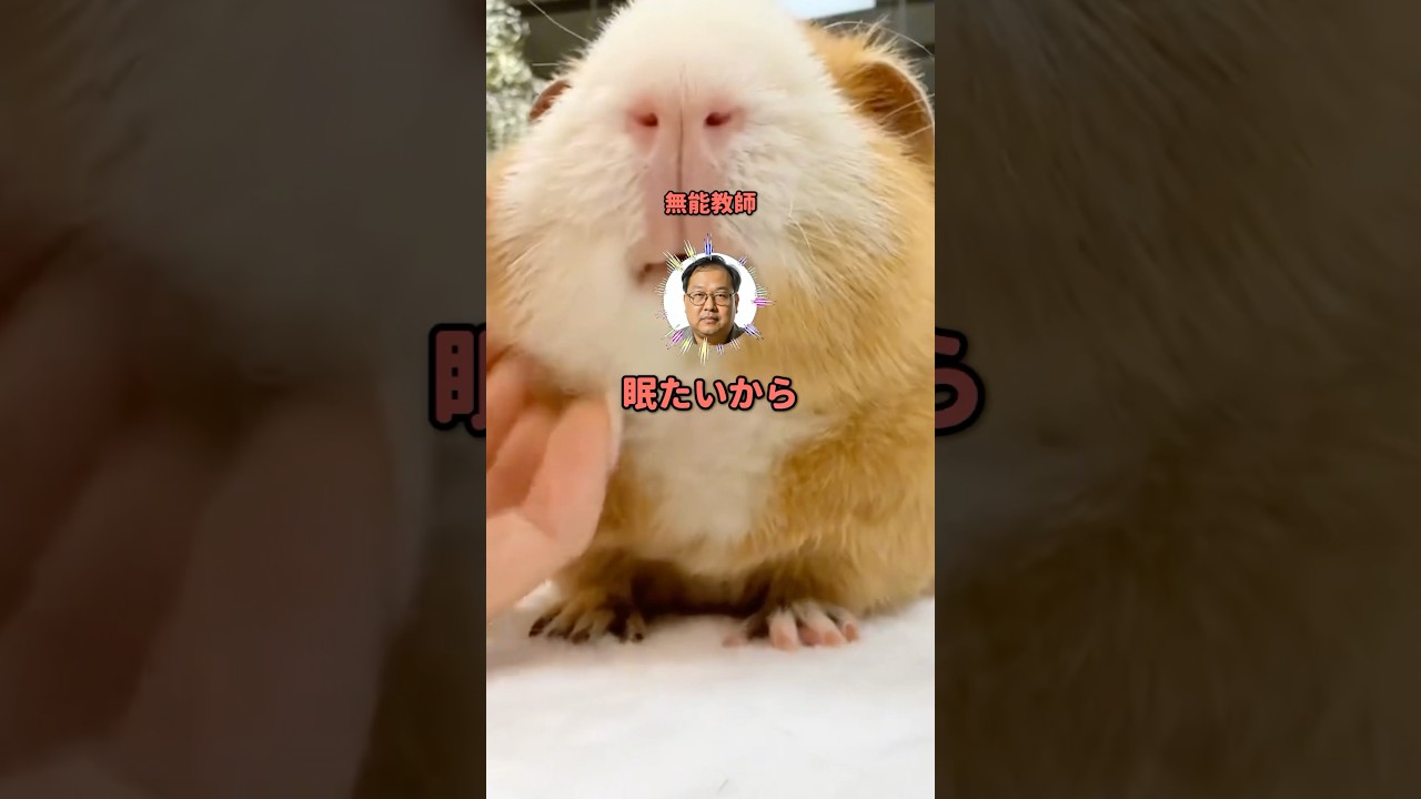 【スカッと】「面倒だから今日も自習で」最低な担任の授業が評価されてまさかの展開にw