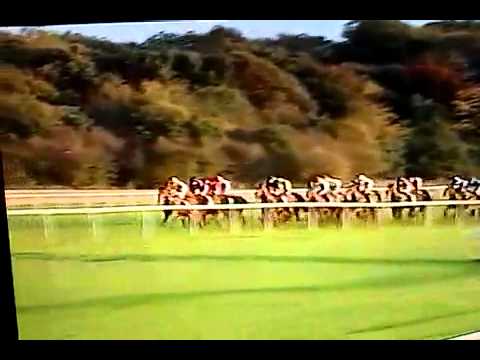 2005 November Handicap