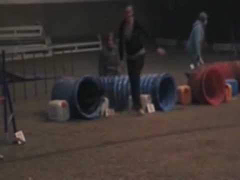 CSI 2010 - Evropský pohár Border collií