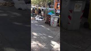 il-ragazzo-che-differenzia-la-spazzatura-del-vomero