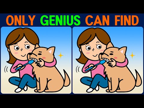 Puzzle / Find the Difference │ Have fun, focus and boost your memory!