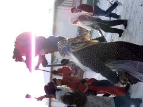 ursii din Valea-Arinilor 2