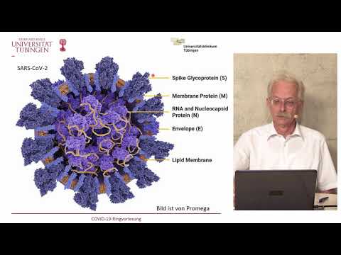 COVID-19-Ringvorlesung #15 – Impfstoffentwicklung & immunologische Aspekte (14.07.2020)