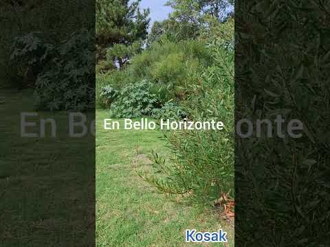Video de YouTube - Terreno en Venta  en Bello Horizonte, Canelones