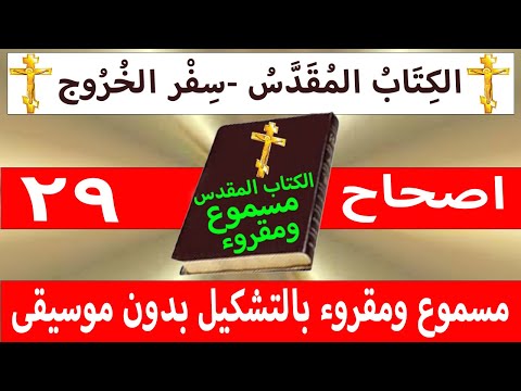 الخروج 29