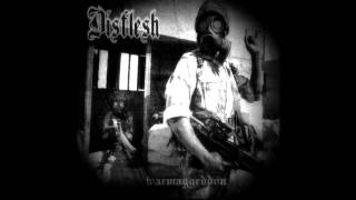 Disflesh - Warmageddon (2004)