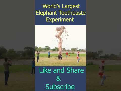 World;S Biggest Elephant Toothpaste #short