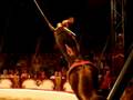 Jan Circus 2008