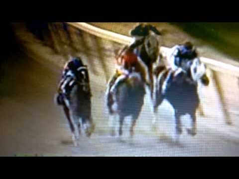 Woodward stakes 1996 Cigar (Narrado em Português)