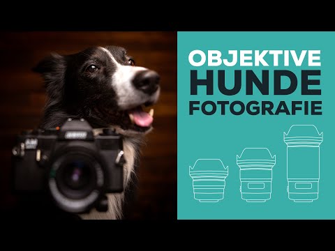 Welches Objektiv für welches Motiv? Lass uns über Objektive in der Hundefotografie reden