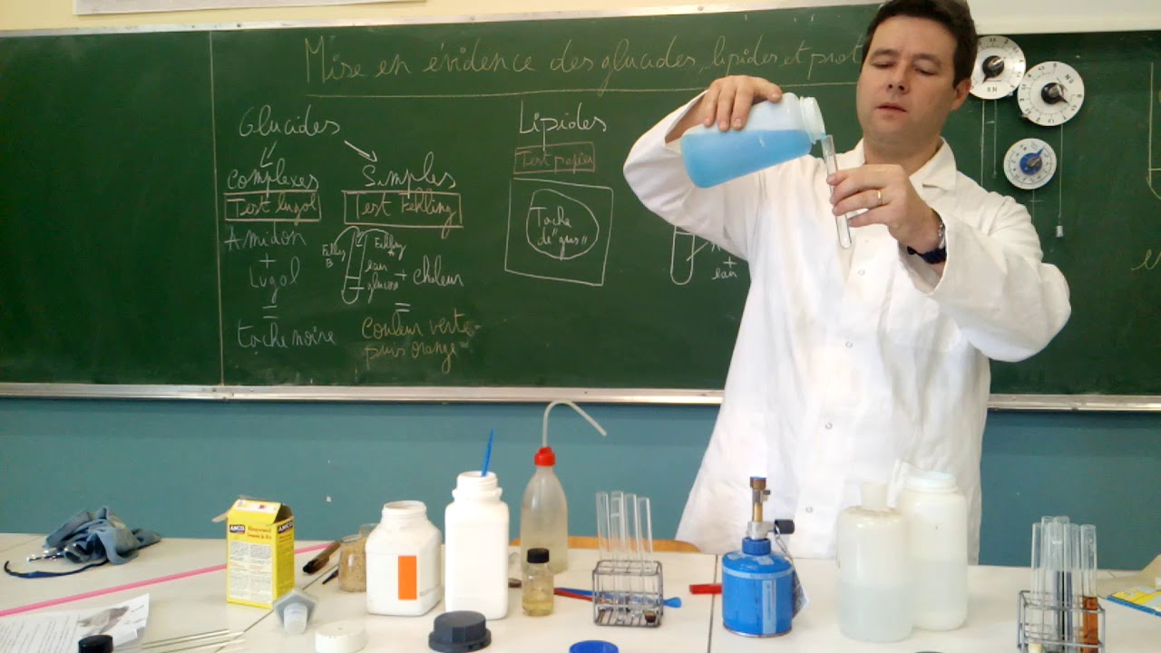 Mise en évidence des glucides,lipides et protides