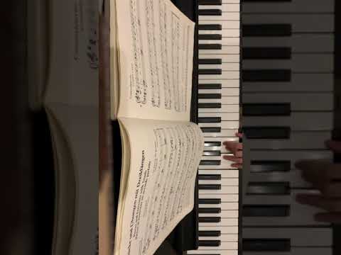 Sol piano EPM-3. 1 The Spanish guitar player/ M. Schoenmehl