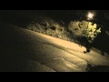 If I Blew Off An M83 Would A Violet Tree Sprout?