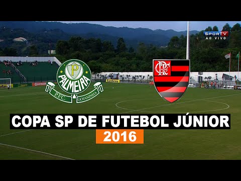 Gols - Palmeira-RN 1 x 5 Flamengo - Copa SP De Futebol Júnior - 05/01/2016 - Futebol HD