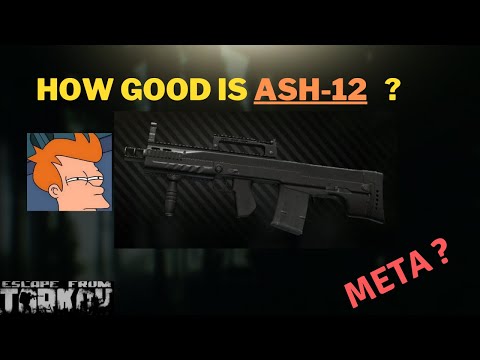 Is ASh-12 a bad or meta gun in Tarkov?