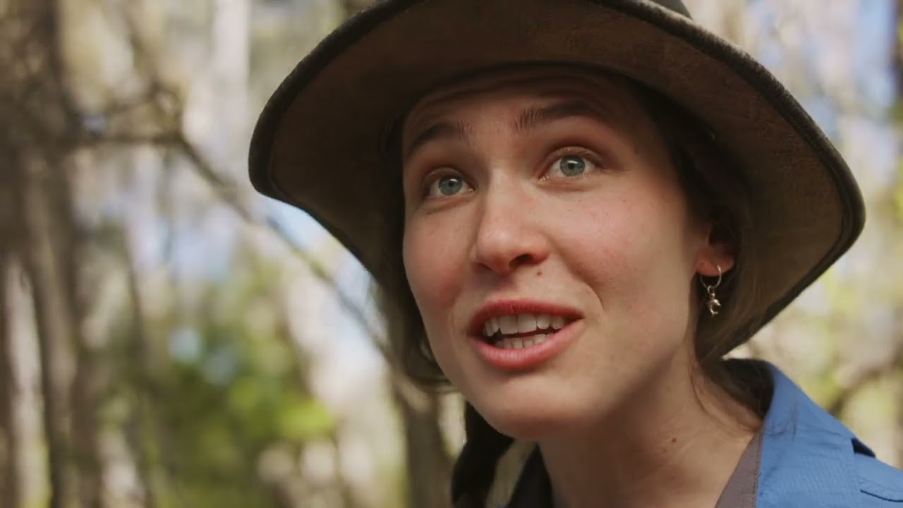 Discover a captivating peek into Australian National Botanic Gardens.