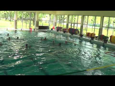 2/1 Szegedi Róbert (11-9)