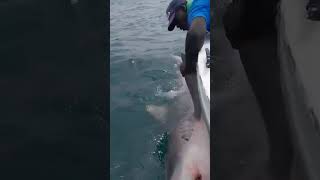 Hôtel Kasa Afrikana