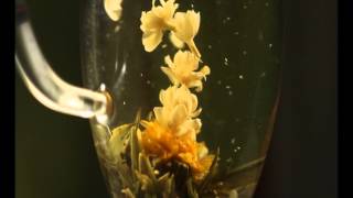 Innerlight -Light Your Life