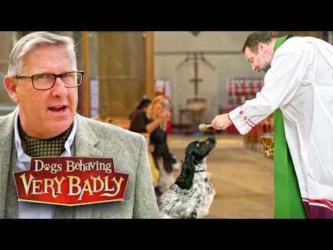 The Vicar’s Dog Who Won’t Stop Barking In Church!