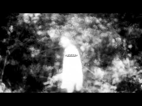 video frame placeholder