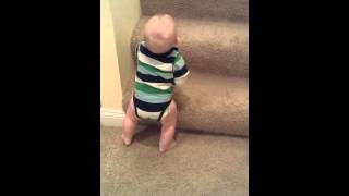 crawling