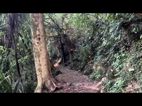 Battery Walk virtual tour preview