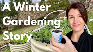 Winter Gardening : A Story of Struggles & Successes