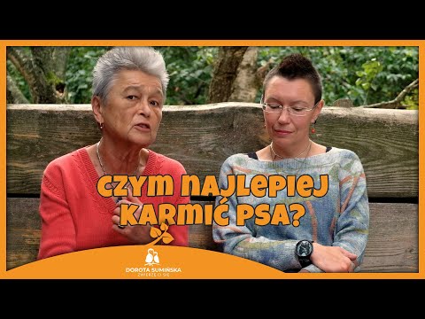 Czym najlepiej karmić psa?