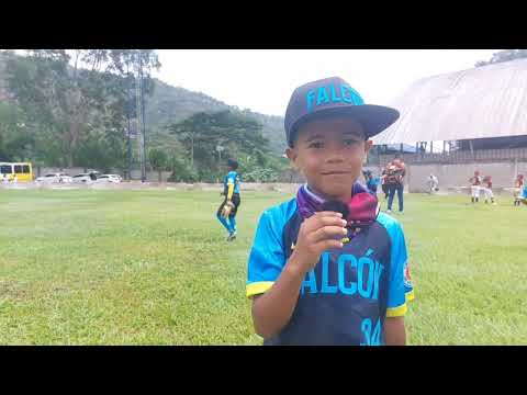Previa del Falcón Vs Sucre