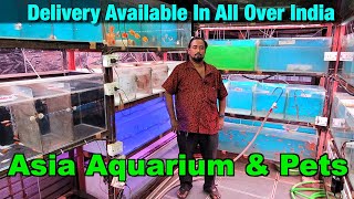 Aquarium Fish Stock in Asia Aquarium & Pets I Delivery Available All Over India