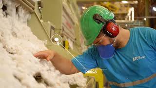 Colheita de Algodão - Safra 2020/21