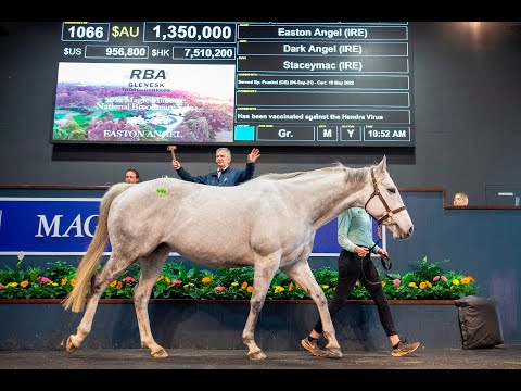 2022 Magic Millions GC National Broodmare Sale - Lot 1066