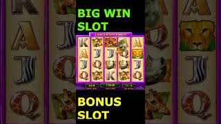 BIG WIN SLOT BONUS WILD LIFE