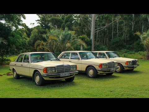 KÄUFERLEITFADEN W123 Mercedes (1976 bis 1986)